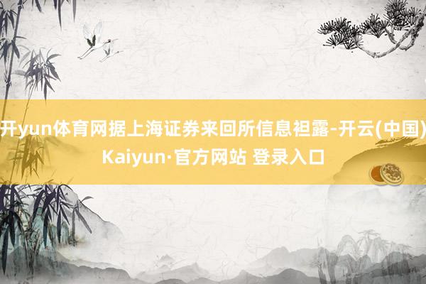 开yun体育网据上海证券来回所信息袒露-开云(中国)Kaiyun·官方网站 登录入口