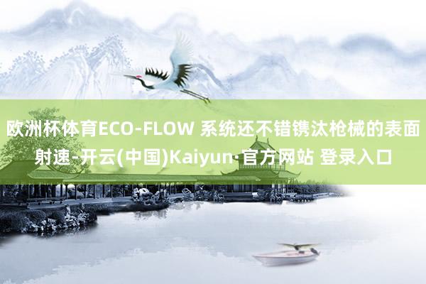 欧洲杯体育ECO-FLOW 系统还不错镌汰枪械的表面射速-开云(中国)Kaiyun·官方网站 登录入口